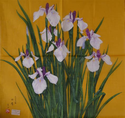 Japanese Iris Painting at PaintingValley.com | Explore collection of Japanese Iris Painting