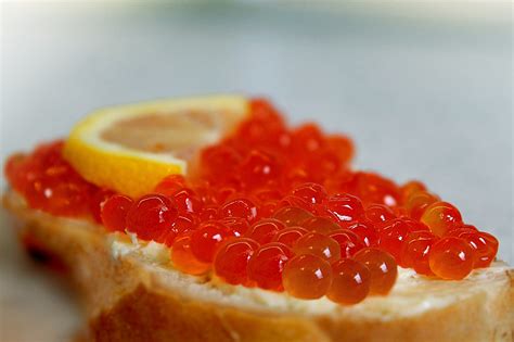 100+ Free Caviar & Food Images - Pixabay