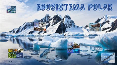 Ecosistema Polar