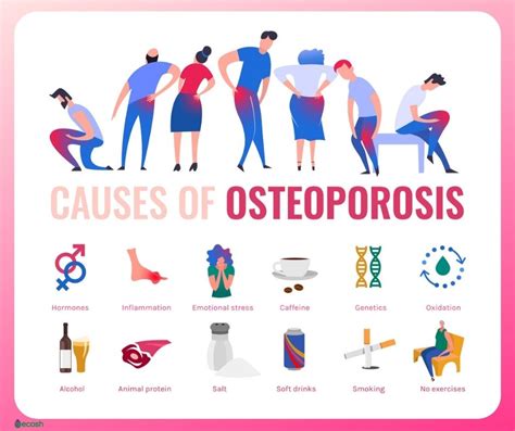 OSTEOPOROSIS - Symptoms, Causes, Risk Groups, Prevention and Treatment - Ecosh