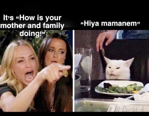 This "Woman Yelling At A Cat" Meme Is Still My Favorite Thing On The Internet | Memes, Southern ...