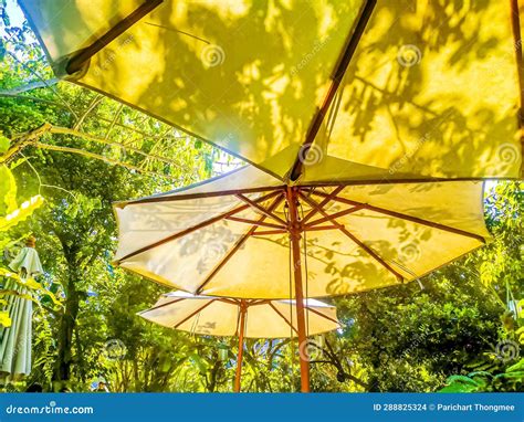 Garden Illumination: Enhancing the Beauty with Outsunny Sun Parasol ...