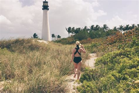 Bill Baggs Cape Florida State Park - Trends and Tolstoy