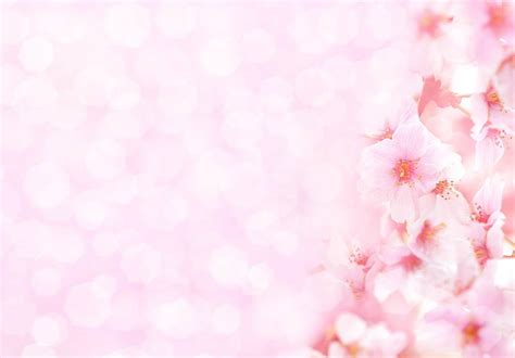 Pink Flower With Pink Bokeh Background For Spring Photography Backdrop – Shopbackdrop