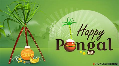 Mattu Pongal Wallpapers - Wallpaper Cave