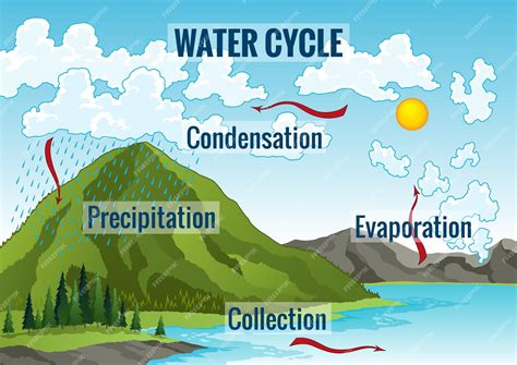 Premium Vector | Water cycle diagram Earth hydrologic process Environmental circulation scheme ...