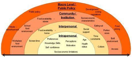 Intro to Social Work: Understanding Macro, Mezzo, and Micro Levels of ...