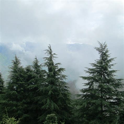 Lal Tibba (Mussoorie) - 2021 What to Know Before You Go (with Photos ...