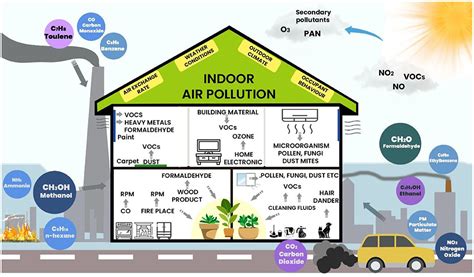 Frontiers | Phytoremediation potential of indoor plants in reducing air pollutants