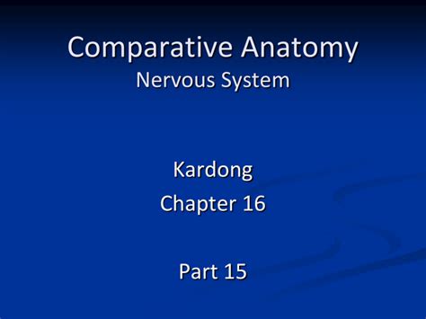 Comparative Anatomy Nervous System