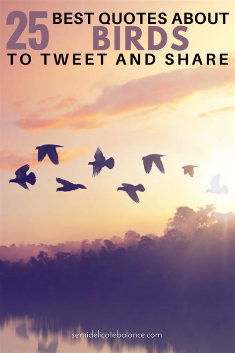 25 Best Quotes About Birds To Help You Tweet With Delight