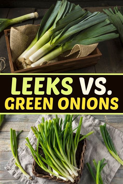 Leeks vs. Green Onions (Here's the Difference) - Insanely Good