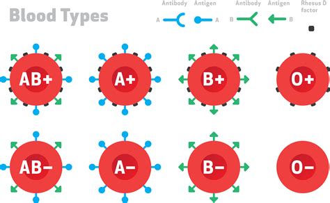 How many possible blood antigen combinations are there? | Socratic