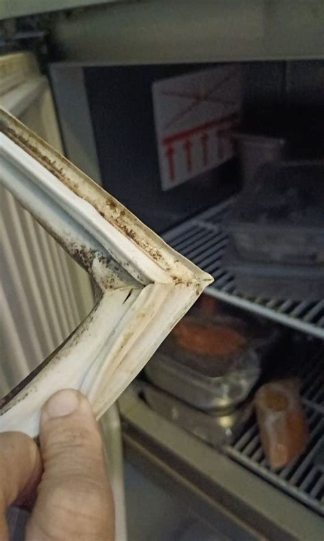 Fridge Refrigerator Door Gasket Seal Rubber Repair and Servicing, TV ...