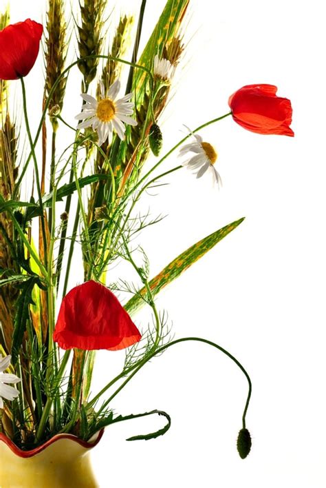 Wild Flowers Bouquet With Wheat Photo Background And Picture For Free Download - Pngtree