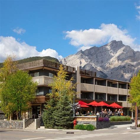 THE 10 BEST Hotels in Banff for 2024 (from C$94) - Tripadvisor