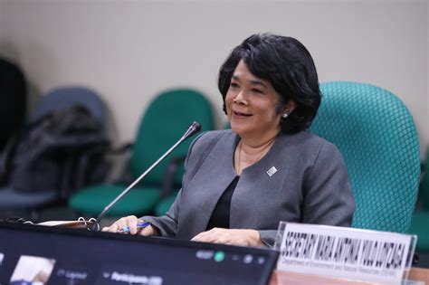 DENR chief Yulo-Loyzaga gets CA nod | ABS-CBN News