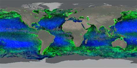 World's Oceans Changing Colour, Study Finds - Guardian