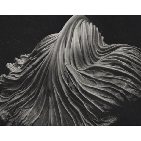 Sold Price: EDWARD WESTON - Cabbage Leaf - October 6, 0118 4:00 PM EDT