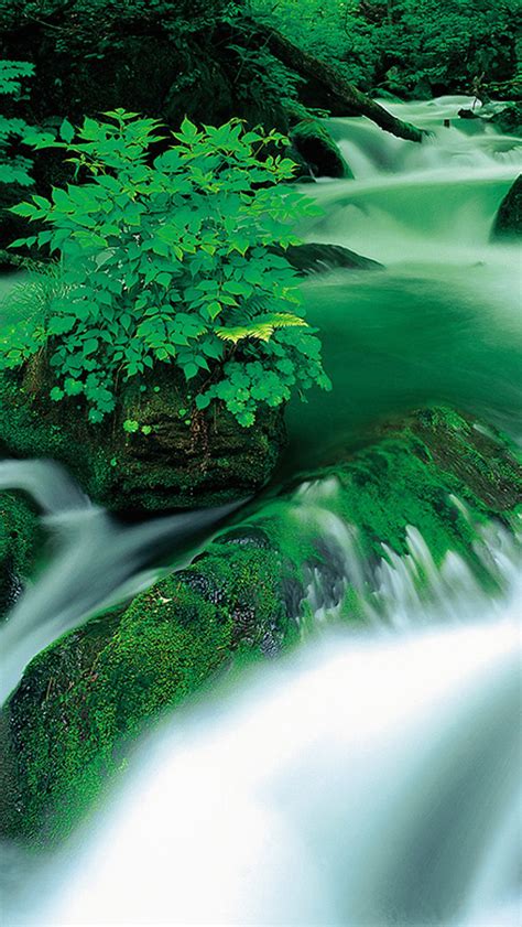 Jungle Waterfall Landscape iPhone Wallpapers Free Download