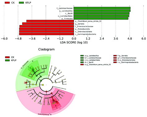 Comparison of bacteria variations using LEfSe analysis. CK: the... | Download Scientific Diagram