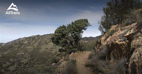 10 Best Trails and Hikes in Pine Valley | AllTrails