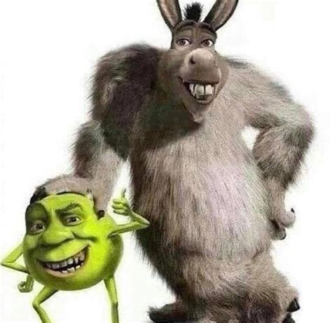 itálico Criticar inestable shrek mike wazowski Malversar Desviación enfermo