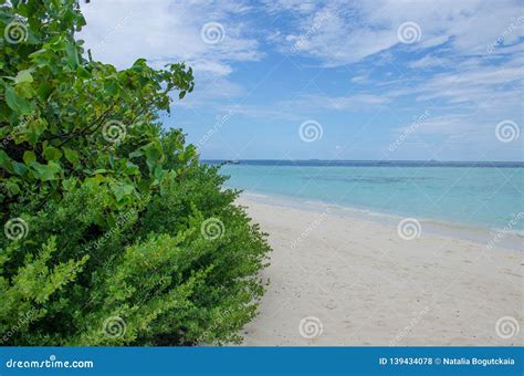 The Landscape the Island of Biyadhoo Maldives the Beach with White Sand ...