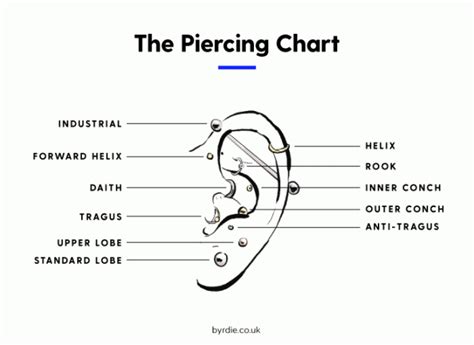 Najboljše vrste ušesnih piercingov: za ideje si oglejte našo tabelo
