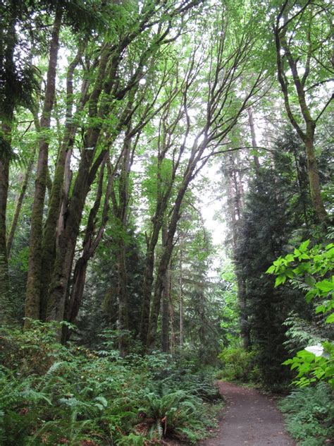 Bridle Trails State Park — Washington Trails Association