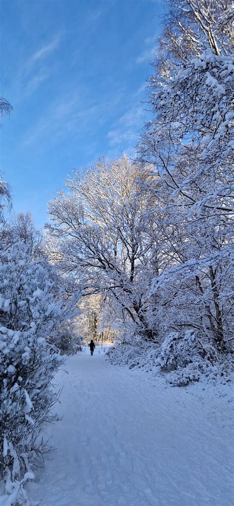 Walking a snowy path Inverness Highlands Scotland by MyGranny4 on ...