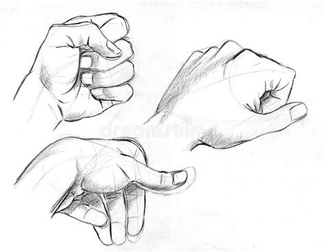 Sketches of Three Hands in Pencil Stock Illustration - Illustration of arte, hombre: 184078252