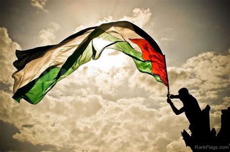 National Flag Of Palestinian territories - RankFlags.com – Collection of Flags