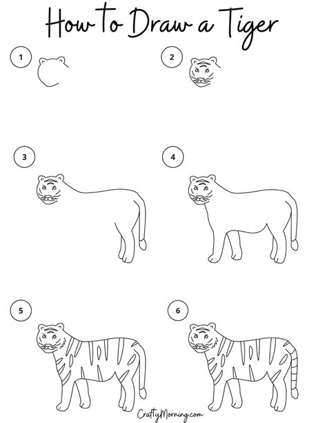 Tiger Drawing Step By Step