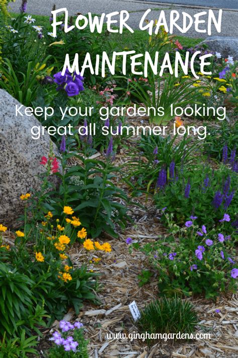 Flower Garden Maintenance Tips - Gingham Gardens