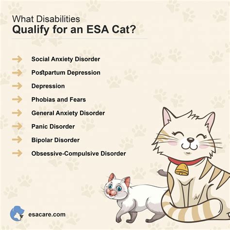 How to Register Cat as Emotional Support Animal: Complete Guide - ESA Care