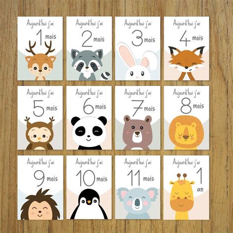 Cartes étapes bébé, mois par mois, animaux, cadeau naissance, panda ...