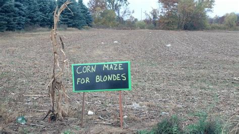 Corn Maze for Blondes : funny