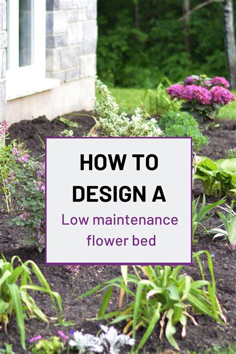 The best tips for designing and planting a low maintenance flower bed ...