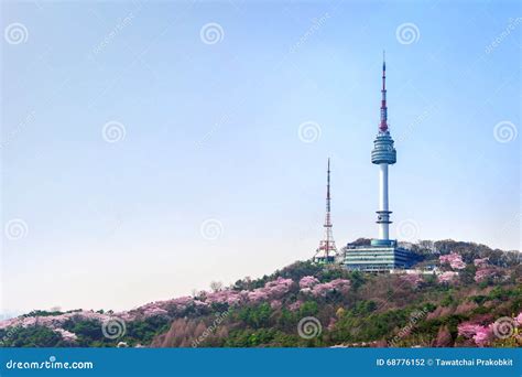 Cherry Blossom in Seoul Tower in Spring. Stock Photo - Image of closeup ...