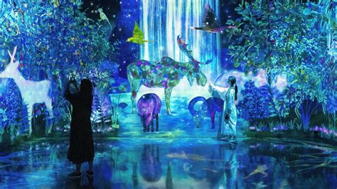 TeamLab Forest Fukuoka - Japan Web Magazine