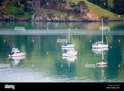 Akaroa harbour, New Zealand Stock Photo - Alamy