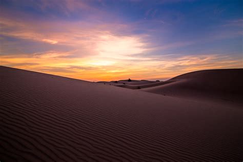 The Ever-Changing Landscape of Monahans Sandhills State Park – No. 4 St ...