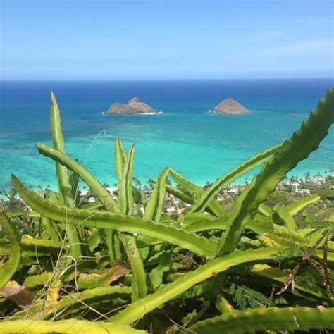 Lanikai Beach - Hawaii on a Map