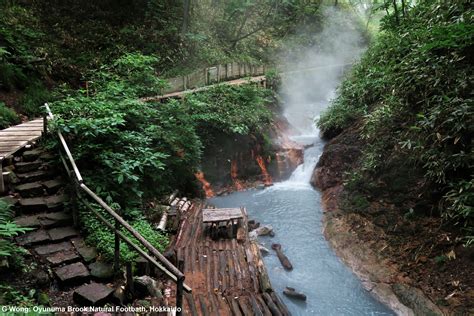 Shikotsu-Toya National Park hot springs, Noboribetsu Japan | National ...