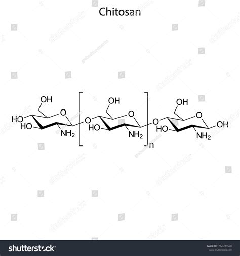 Skeletal Formula Chitosan Chemical Molecule Stock Vector (Royalty Free) 1566239578 | Shutterstock