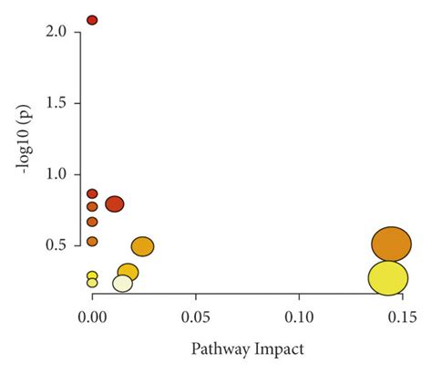 Construction of KEGG-related metabolic pathways. (a) Pathways related ...