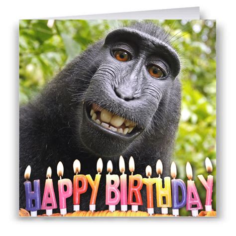 Funny Monkey Birthday Card | eBay