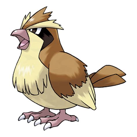 Pidgey | Pokédex