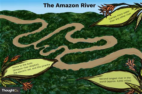 Geography Facts About the Amazon River